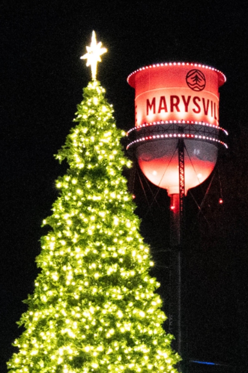  A brightly lit Christmas tree stands in front of the iconic Marysville water tower, illuminated in festive red lights against a dark night sky.