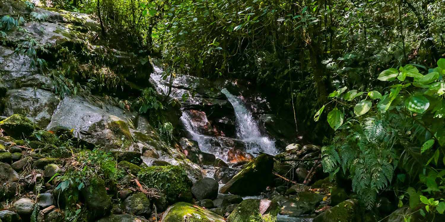 a small waterfall in a forest near Granite Falls, WA