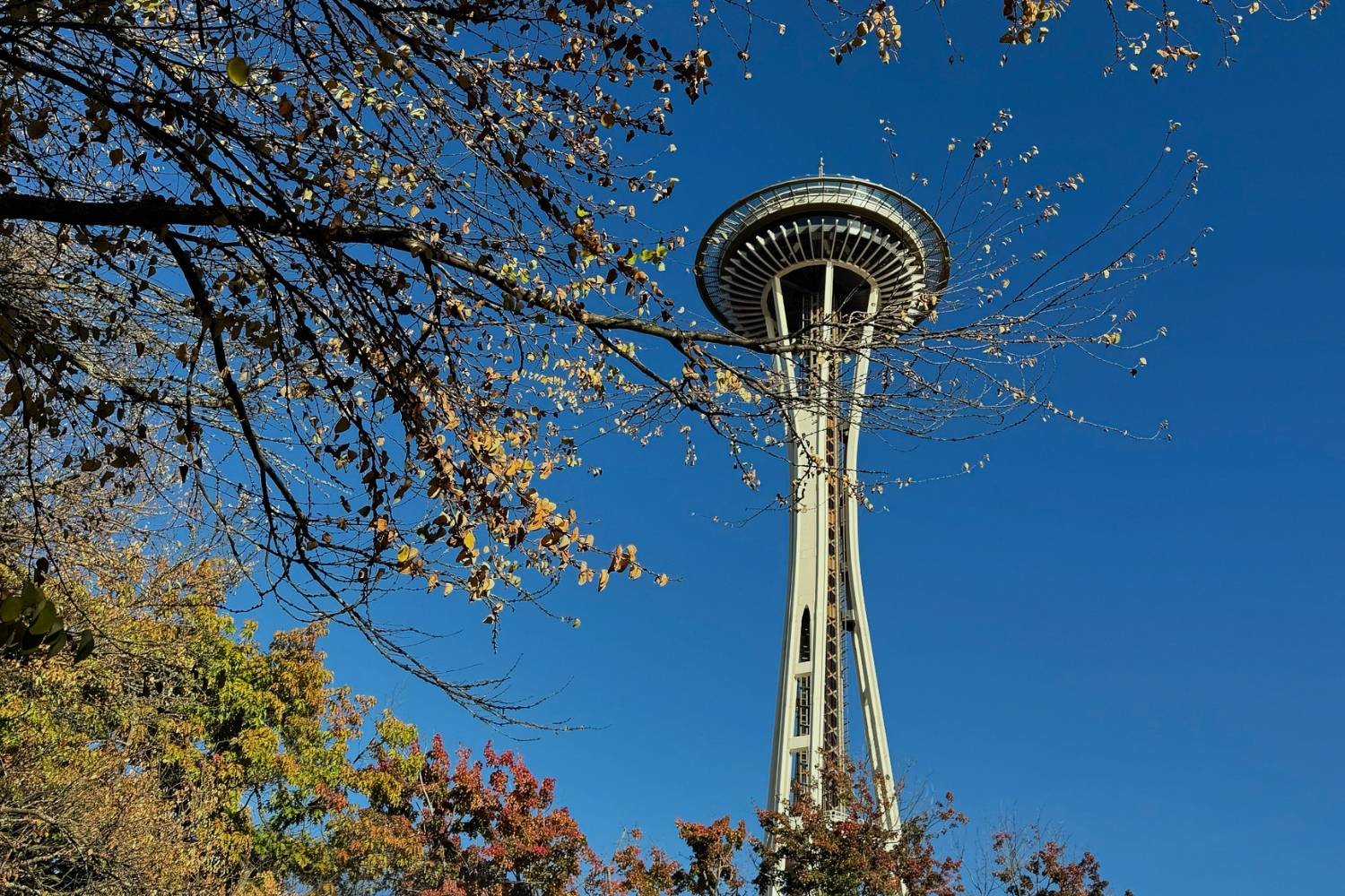 An image of the Space Needle at Seattle Center.