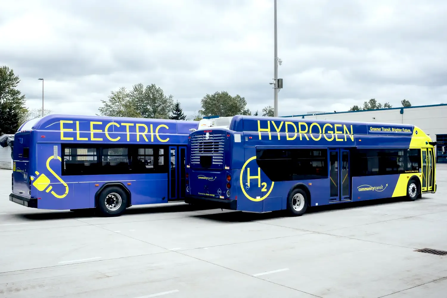 a battery-electric and hydrogen fuel cell bus parked side by side