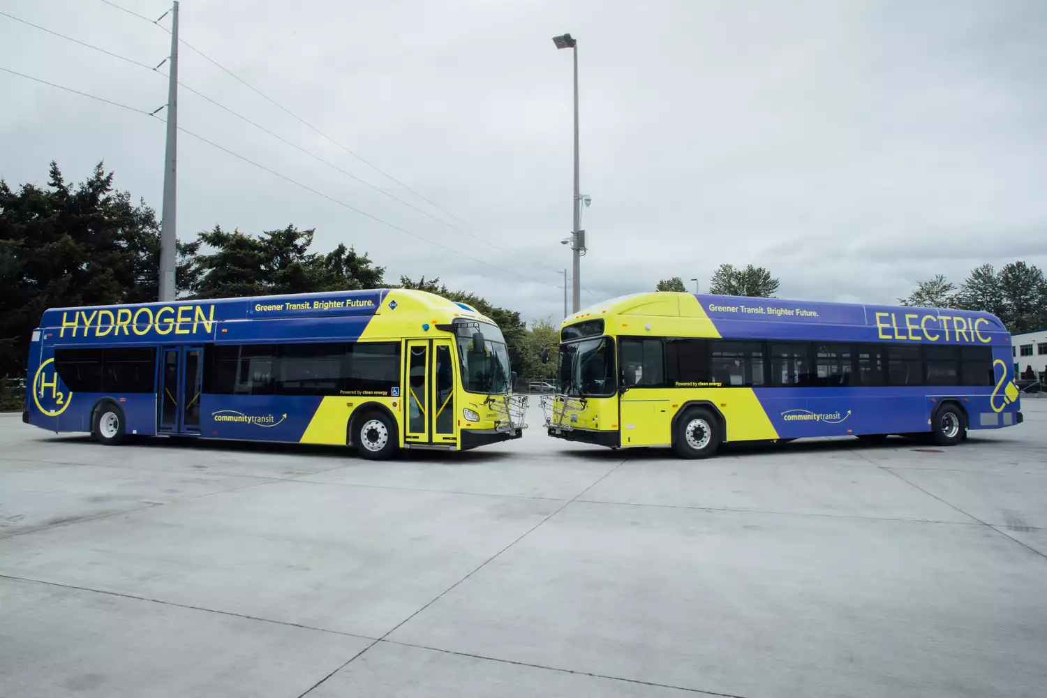 Zero emission hydrogen and battery electric buses