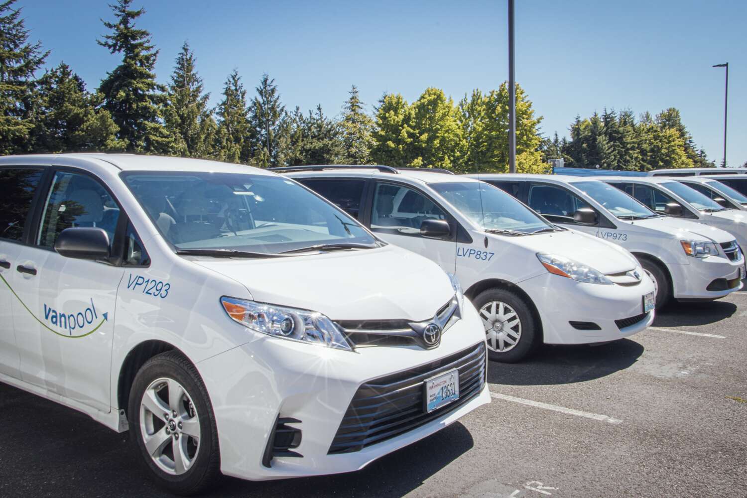 Fleet of Community Transity vanpool vans